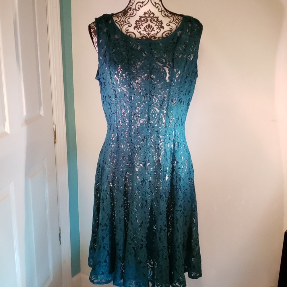 Cheeta  B lace with under slip dress